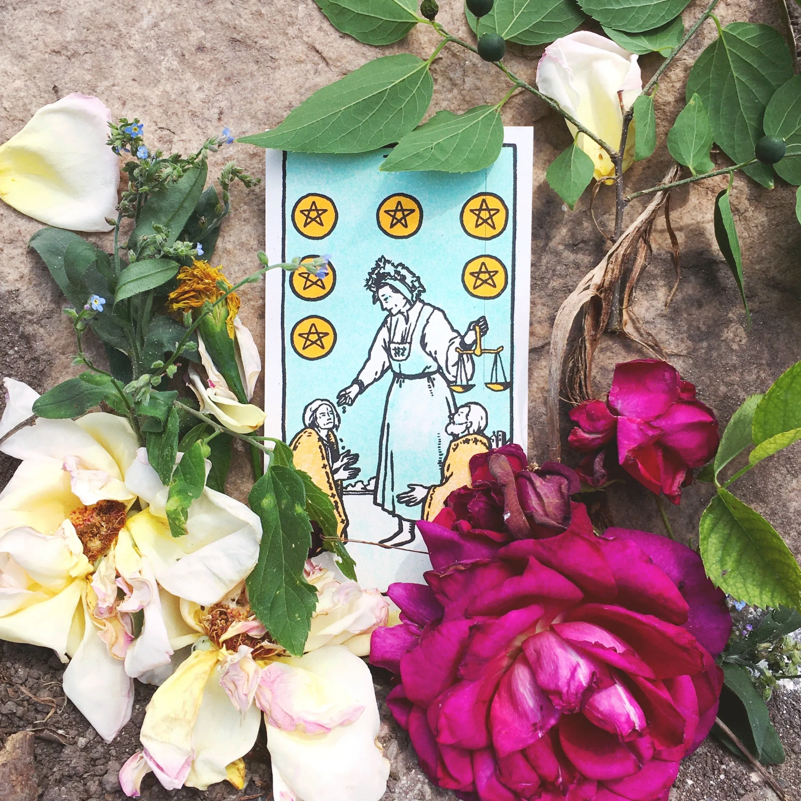 Brighton Ballard - "Midsommar Tarot Card Set"