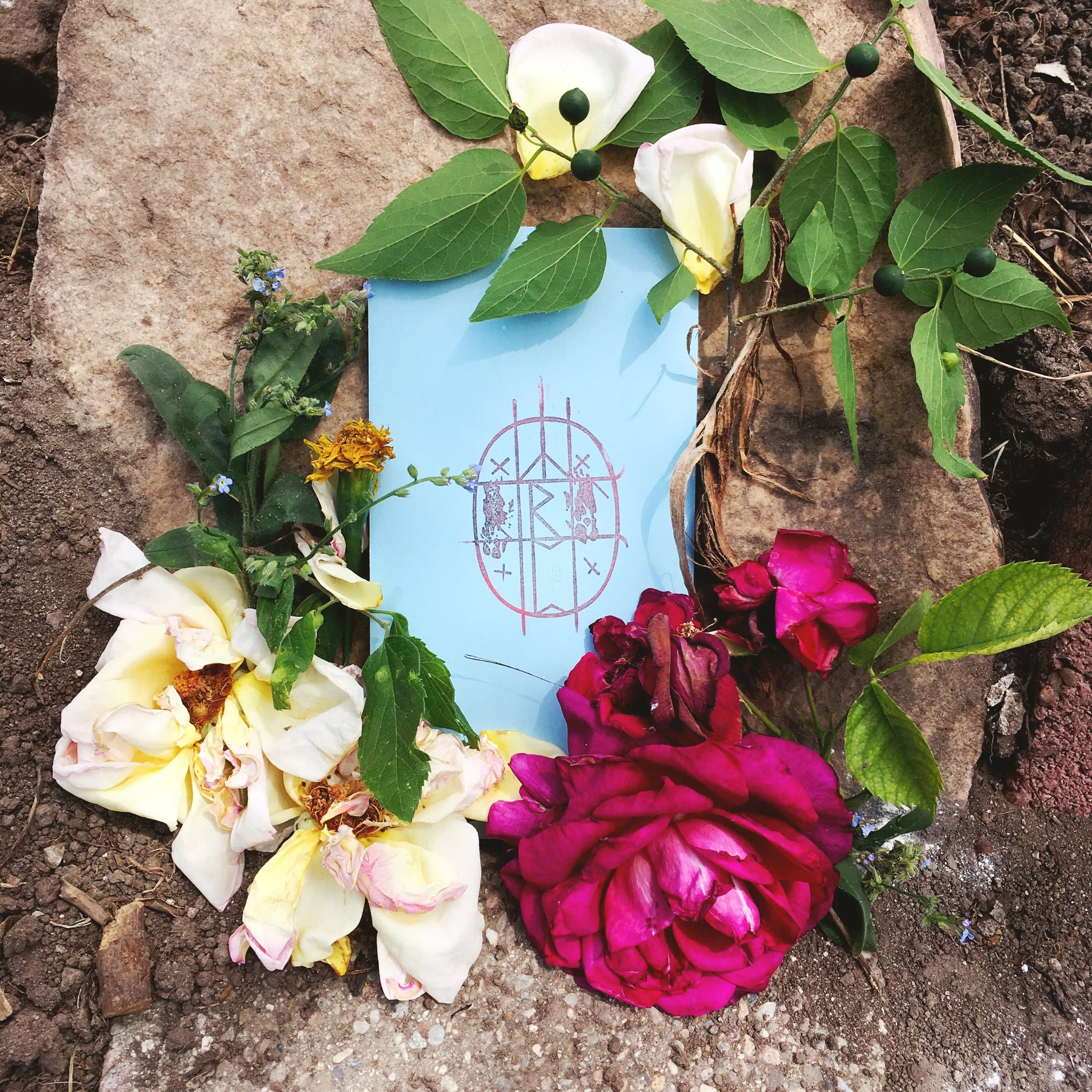 Brighton Ballard - "Midsommar Tarot Card Set"