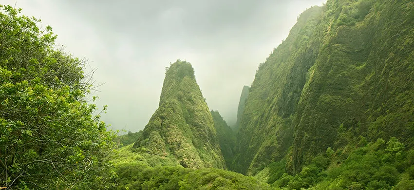 GREEN Hawaii, Maui Mokka