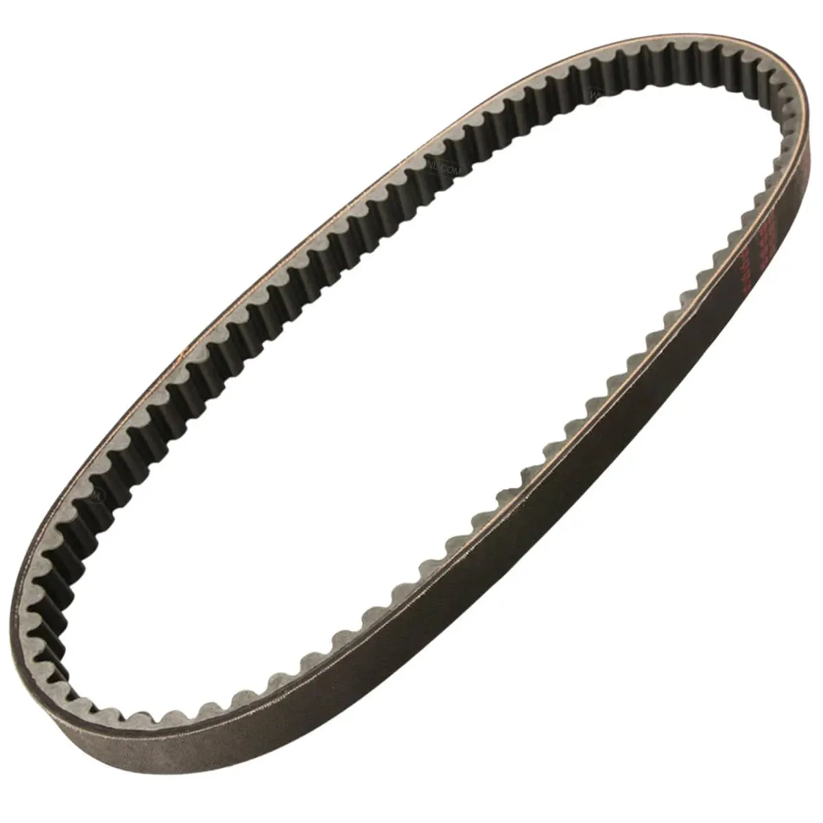 Imer Workman II Multi Mixer V-Belt