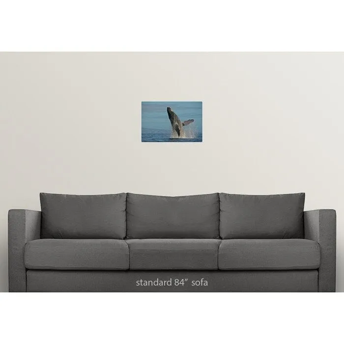 "Humpback Whale Breach" Poster Print - Multi