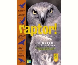 Raptor A Kids Guide to Birds