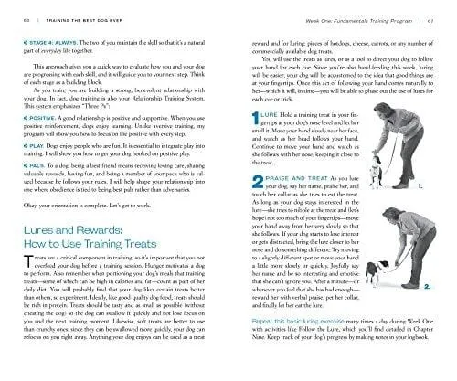 Training the Best Dog Ever: A 5-Week Program Using the Power of Positive Reinforcement