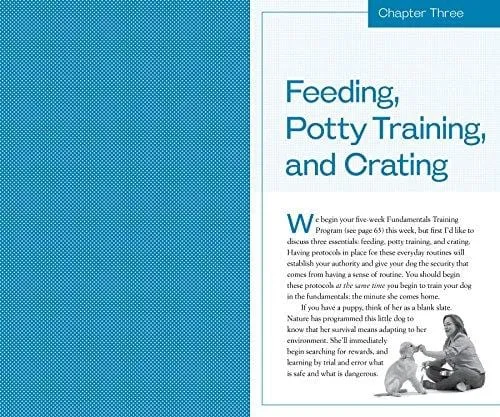 Training the Best Dog Ever: A 5-Week Program Using the Power of Positive Reinforcement