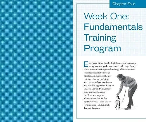 Training the Best Dog Ever: A 5-Week Program Using the Power of Positive Reinforcement