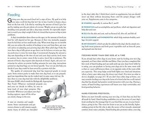 Training the Best Dog Ever: A 5-Week Program Using the Power of Positive Reinforcement