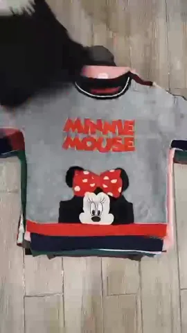 Vintage Disney Sweatshirt - 15 Pieces