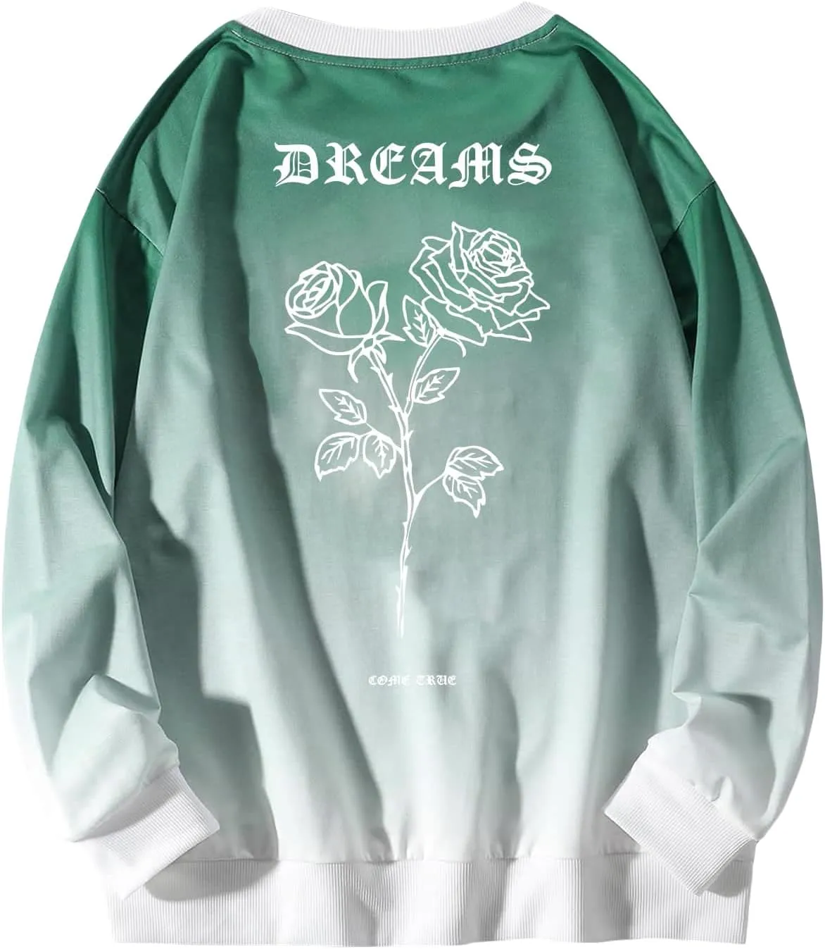 WDIRARA Men's Casual Letter Graphic Print Long Sleeve Crewneck Sweatshirt Tops
