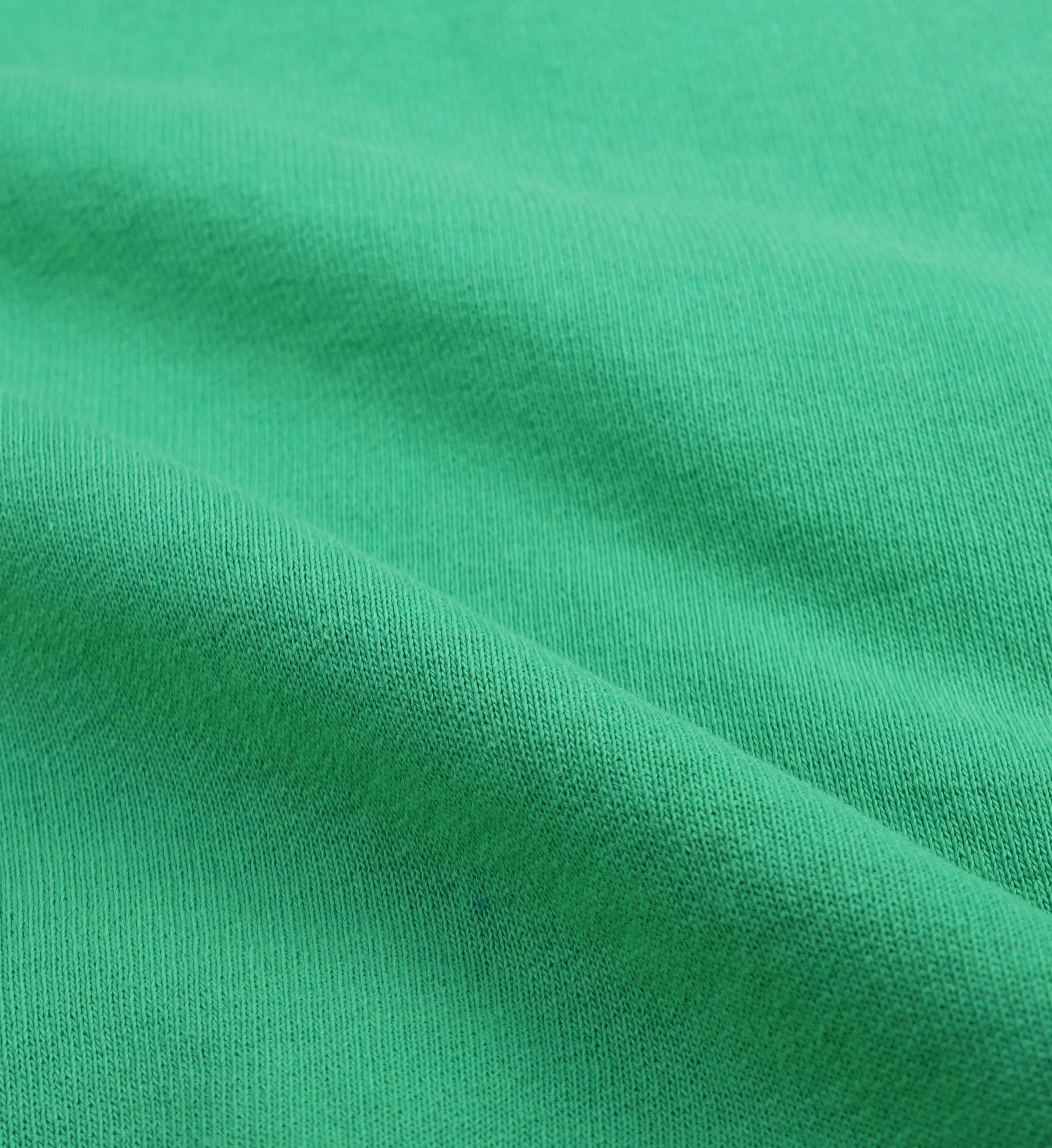 Wellness Ivy Crewneck - Verde/White