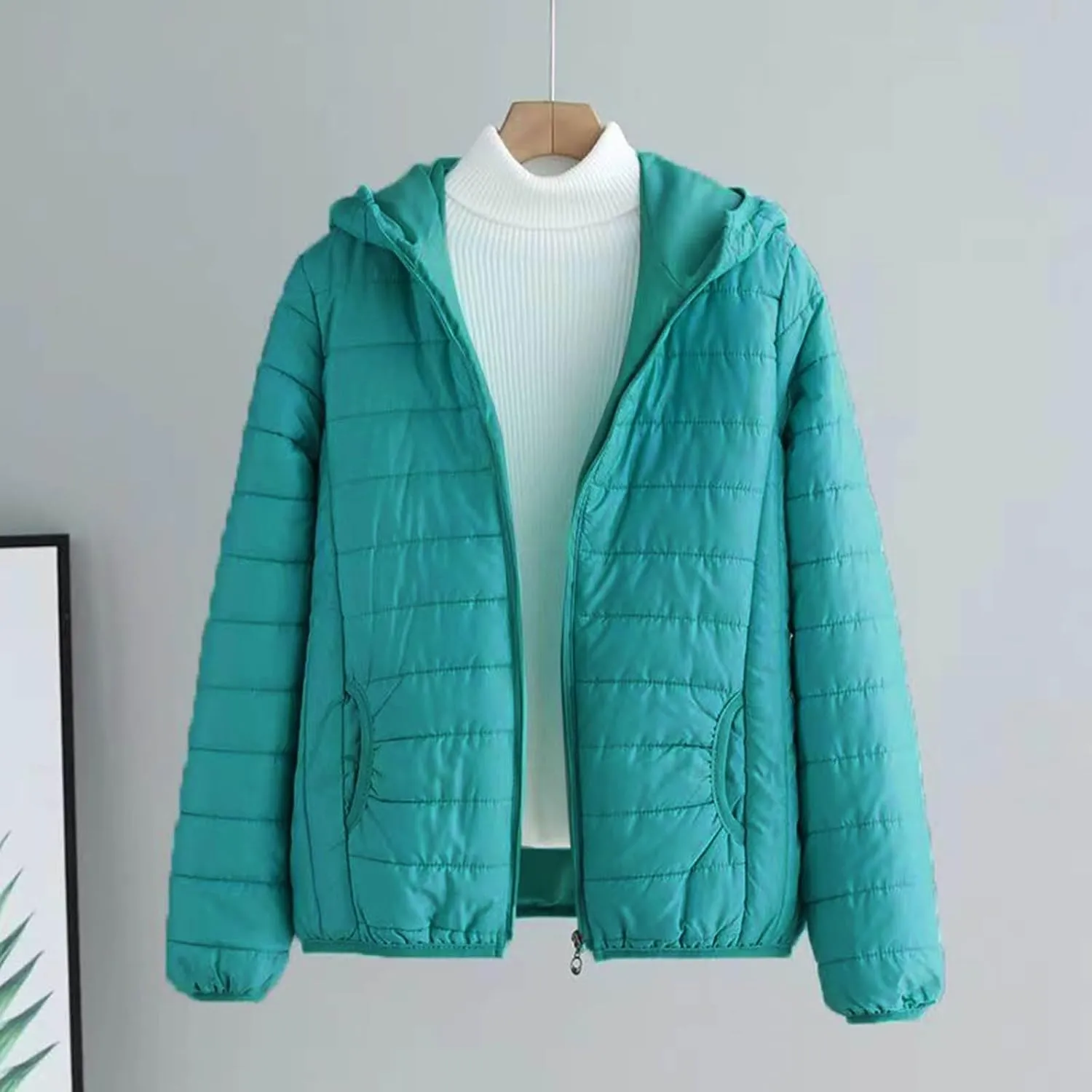 Women's Puffer Coat Casual Slim Lightweight Warm Winter Down Jackets Hooded Girls Zip Up Short Quilted Jacket with Pocket