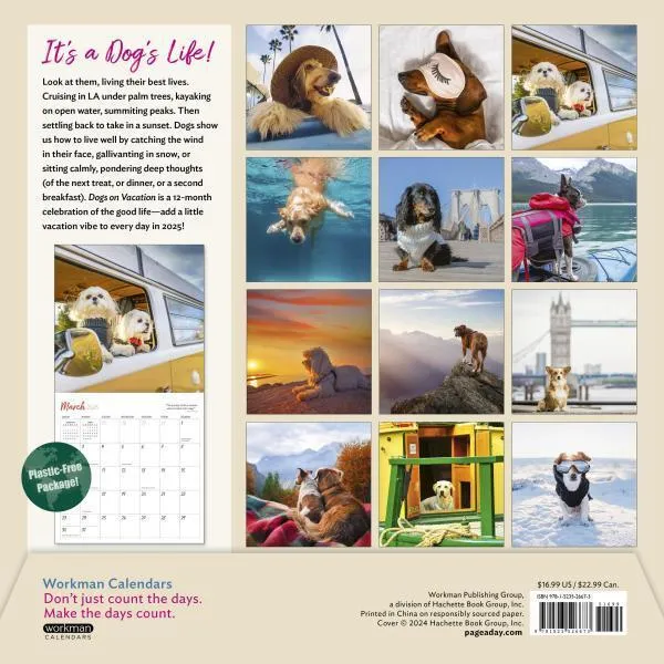 Workman Dogs on Vacation 2025 Wall Calendar