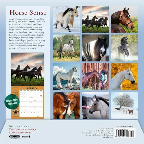 Workman How to Think Like a Horse 2025 Wall Calendar