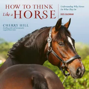Workman How to Think Like a Horse 2025 Wall Calendar