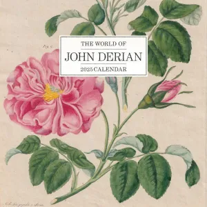 Workman The World of John Derian 2025 Wall Calendar